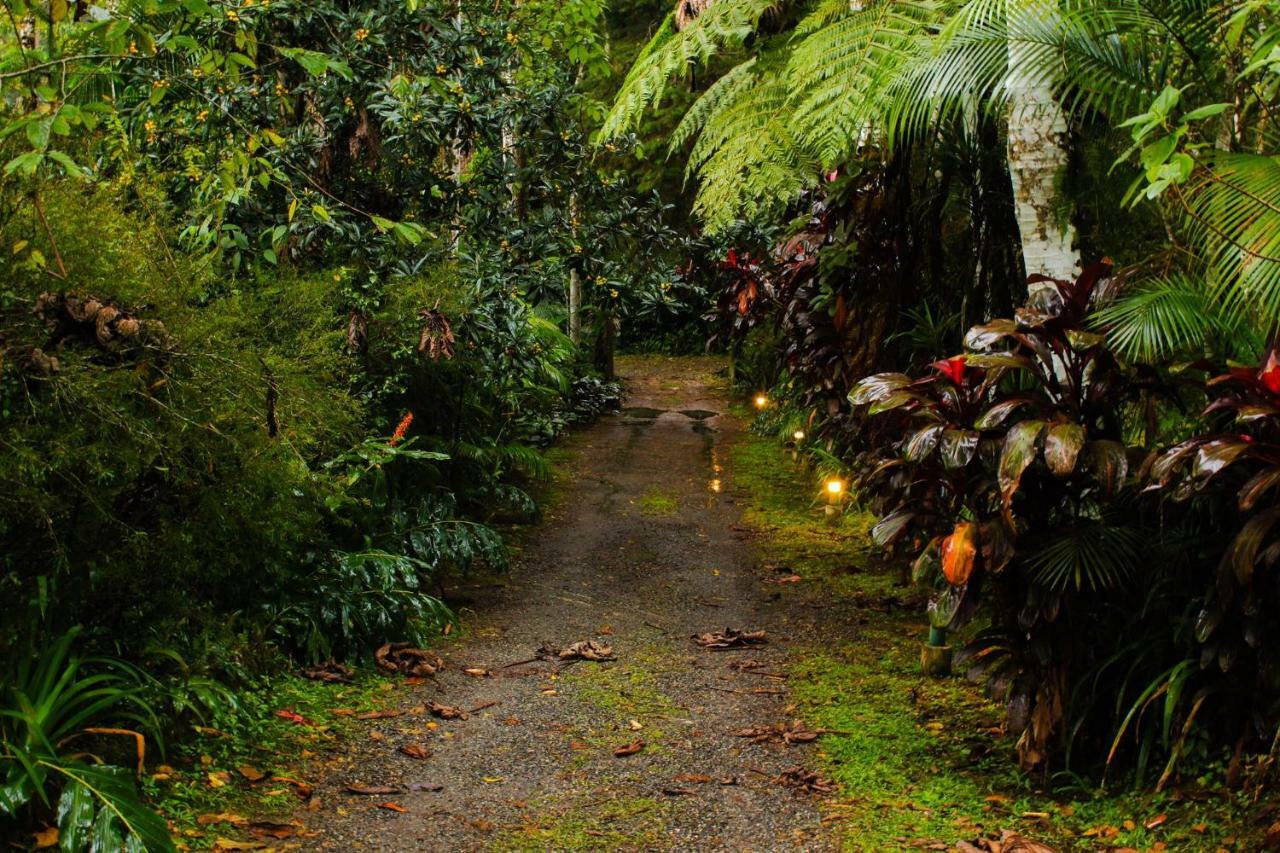 Quarto Varanda - Residencia Gaia Itatiaia イタチアイア エクステリア 写真