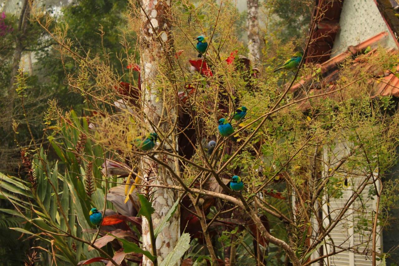 Quarto Varanda - Residencia Gaia Itatiaia イタチアイア エクステリア 写真