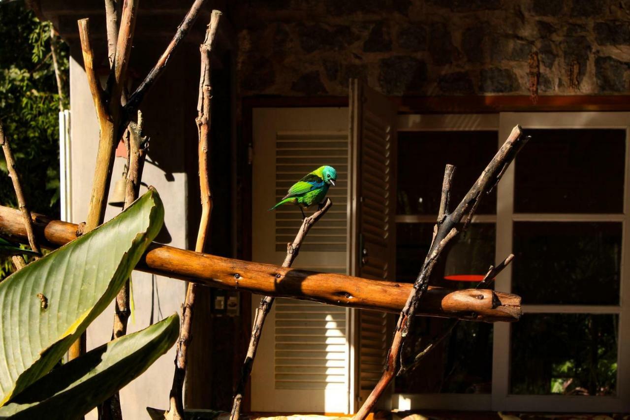 Quarto Varanda - Residencia Gaia Itatiaia イタチアイア エクステリア 写真